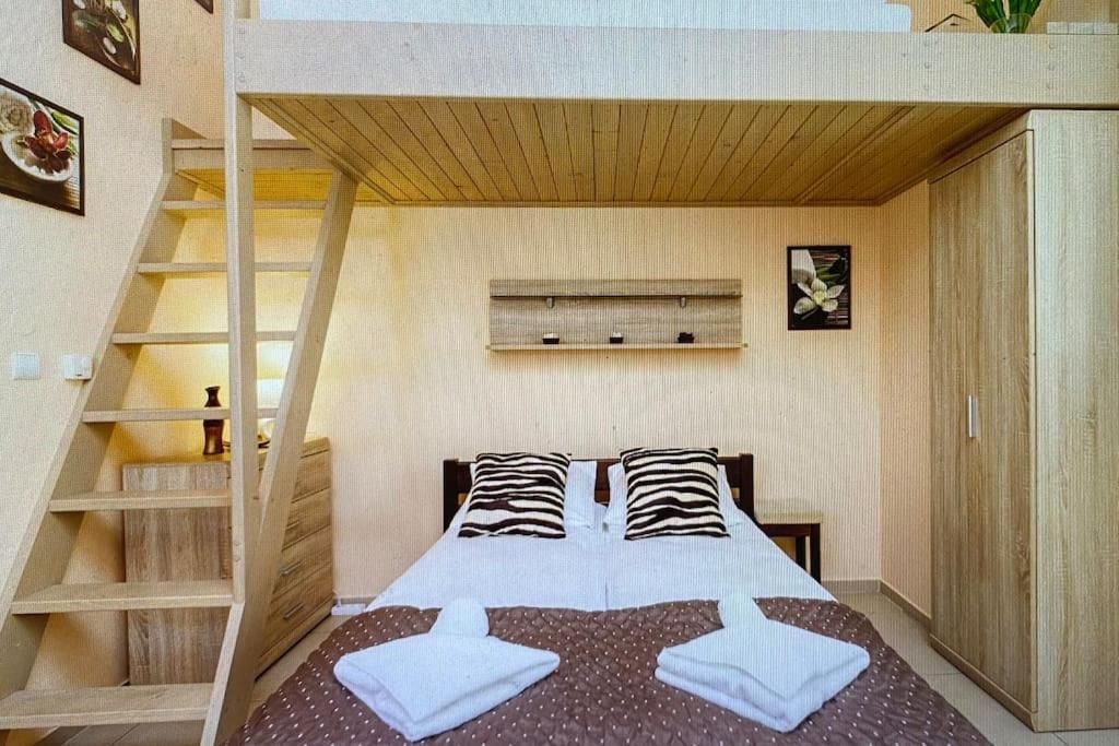 Apartament 7 Minut Od Krupowek Na Nogach! زاكوباني المظهر الخارجي الصورة
